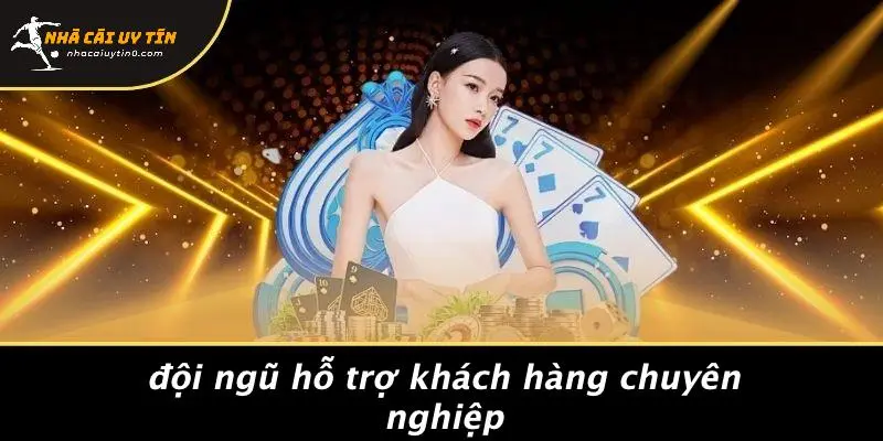 Đội Ngũ Hỗ Trợ Khách Hàng Chuyên Nghiệp