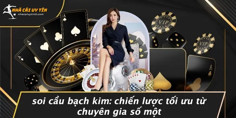 Soi Cầu Bạch Kim