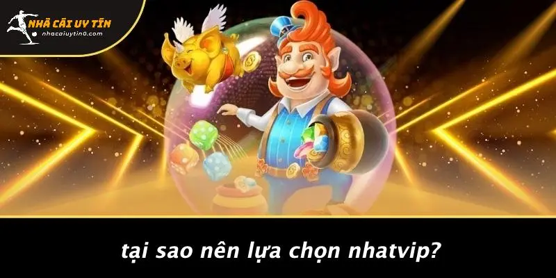Tại Sao Nên Lựa Chọn NHATVIP?
