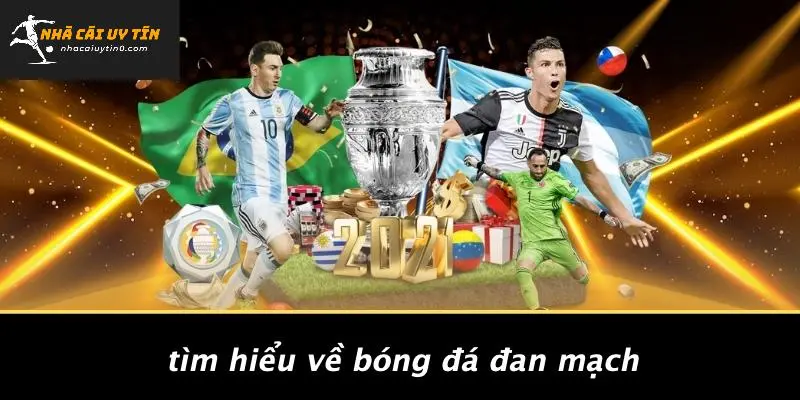 Tìm Hiểu Về Bóng Đá Đan Mạch